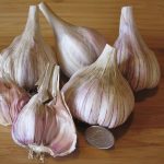Korean Red Garlic Bulbs